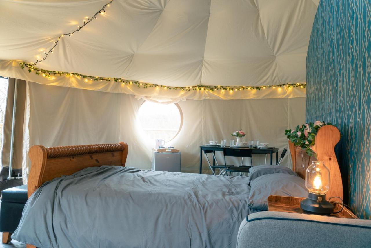 Little River Glamping 巴利马尼 外观 照片