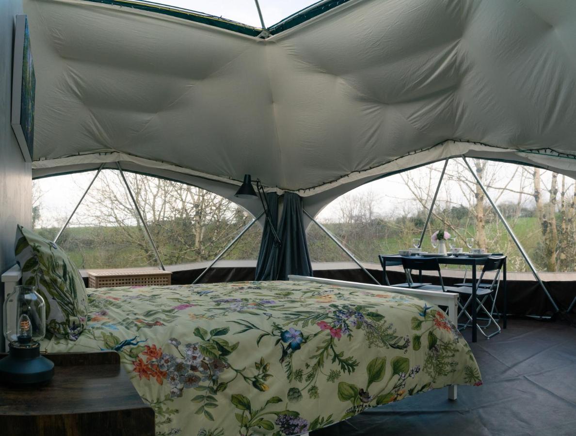 Little River Glamping 巴利马尼 外观 照片