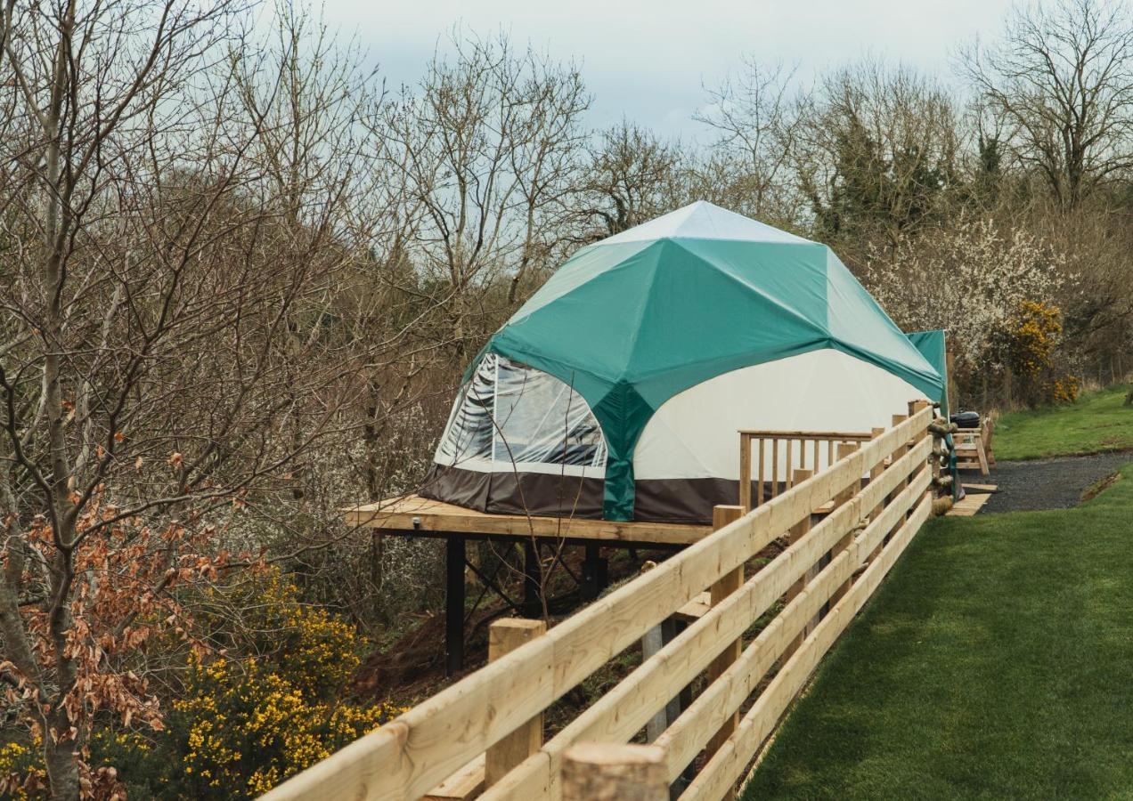 Little River Glamping 巴利马尼 外观 照片