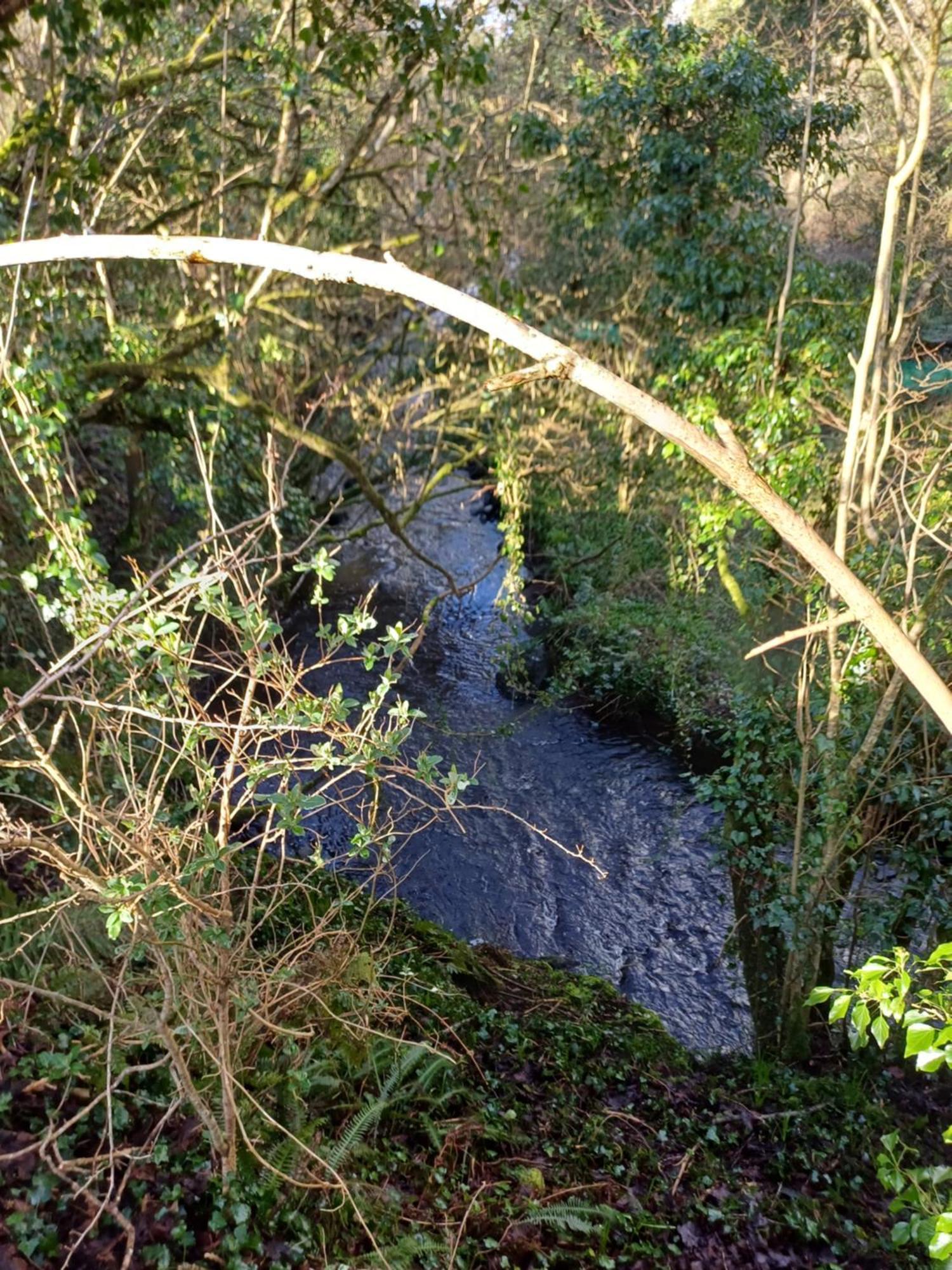 Little River Glamping 巴利马尼 外观 照片