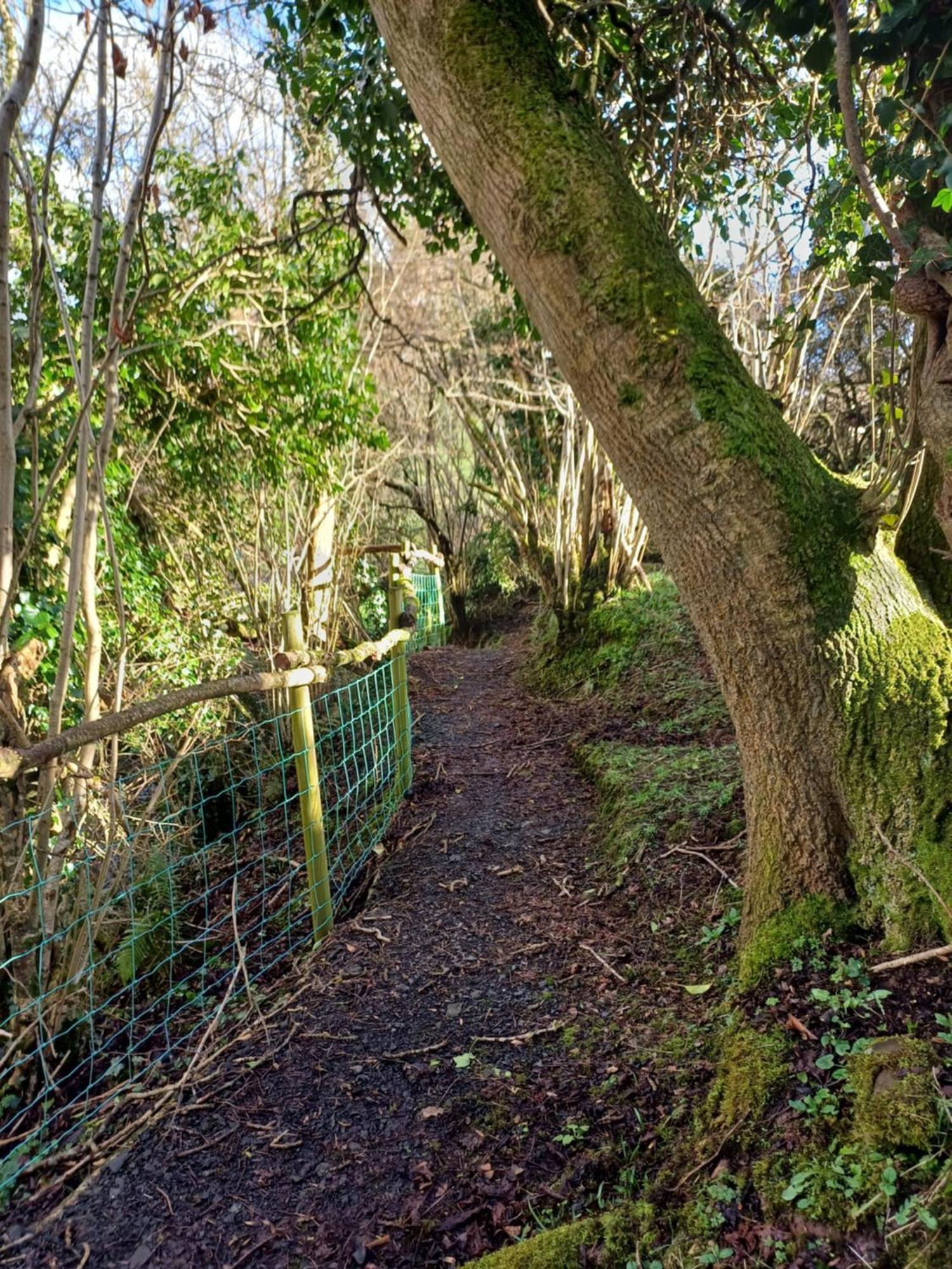 Little River Glamping 巴利马尼 外观 照片